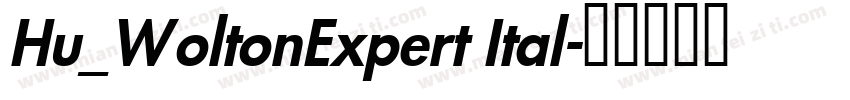 Hu_WoltonExpert Ital字体转换